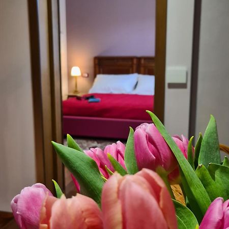 Zi Bitta - Guest House パルマノーヴァ エクステリア 写真